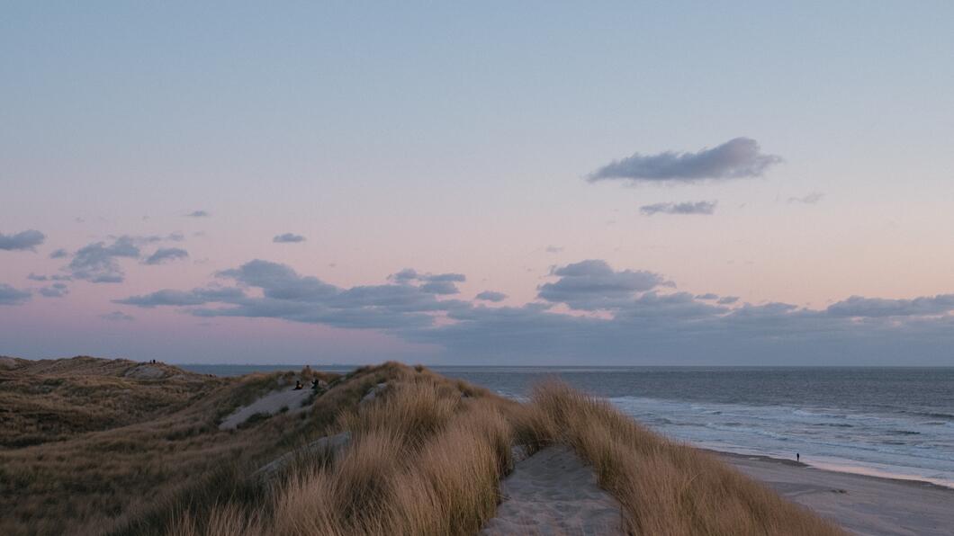 Wadden