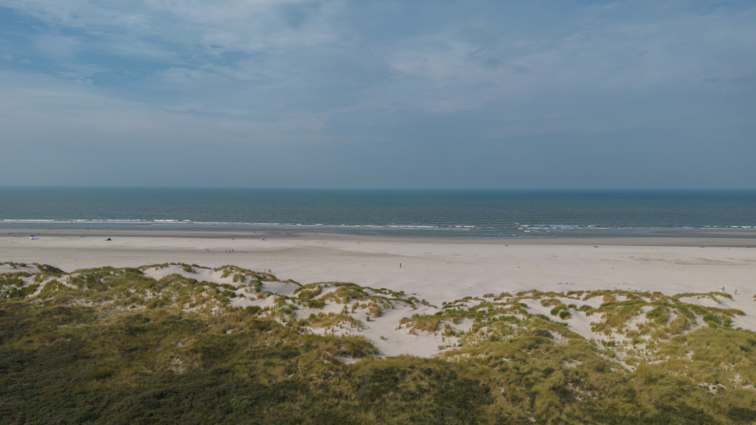Wadden