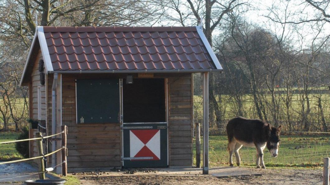 Jan Smit/dierenfotograaf
